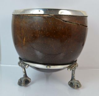 Rare Antique Solid Silver & Coconut Bowl On Claw Feet
