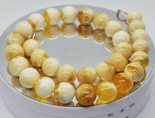 59.  79g 31bead Antique Formed White Boney Baltic Amber Butterscotch Bead Necklace