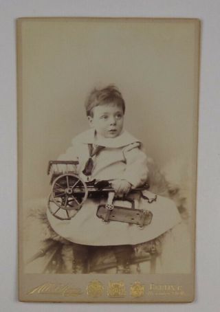 Vintage Circa 1885 Cabinet Photo Of A Child With Horse Drawn Carriage