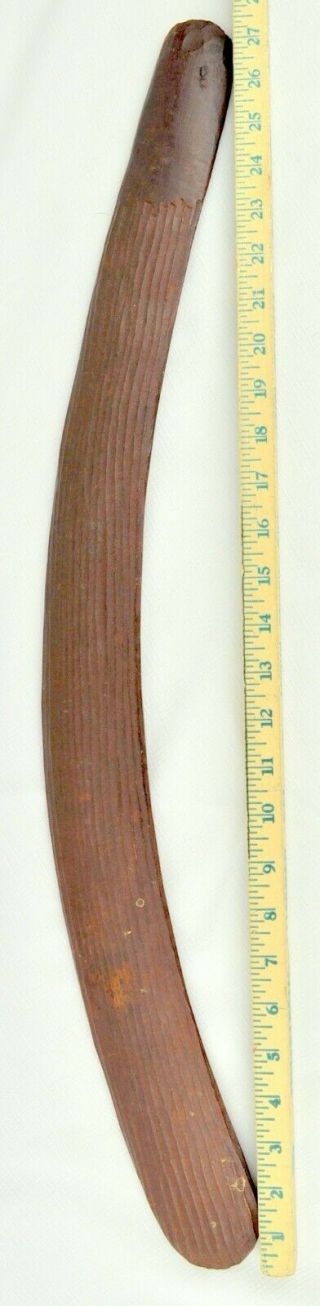 Rare Old 19th C Aboriginal Boomerang Fluted Oceanic Polynesian Australian 28``