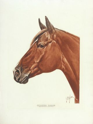 Orren Marion Mixer Xrare Vtg Mid Century 1951 Sepia Photogravure Quarter Horse