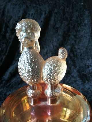 Vintage Jeanette Glass Marigold Iridescent Poodle Powder Jar Box 2