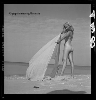 Bunny Yeager Stunning 1960 Pin - up Camera Negative Nude Dottie Sykes 2