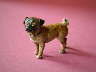 Vintage Early 20th Century Cold Painted Vienna Bronze Pug Dog Stamped Austria