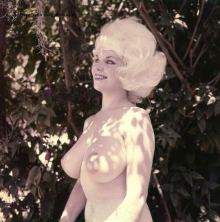 Vintage Bunny Yeager Color Camera Transparency Sexy Voluptuous Blonde Model
