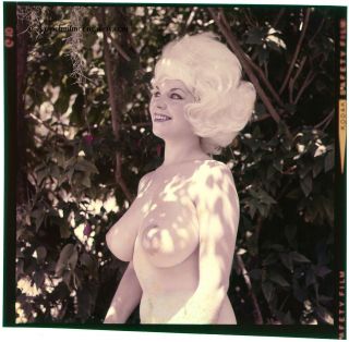 Vintage Bunny Yeager Color Camera Transparency Sexy Voluptuous Blonde Model 2