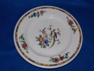 Vintage Syracuse China Bird Of Paradise Floral Dewitt Clinton 10 Inch Plate