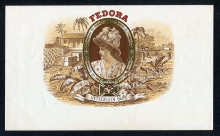 Old Fedora Cigar Label - Vetterlein Bros.  - Scarce Label - Plantation