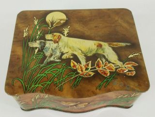 Vintage Brown Bird Hunting Dogs Irish Setter Hinged Tin Box England Fowl Deer
