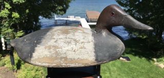 Vintage Chris Smith Canvasback Drake Duck Decoy Hollow Carved Michigan Form