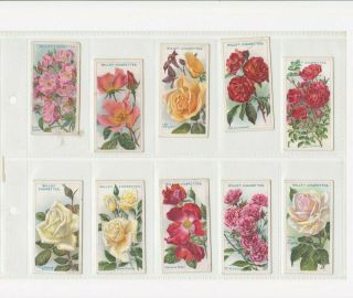 Full Set Of 50 Roses Second Series Cards From Wills 1914.