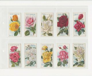 Full set of 50 Roses Second Series cards from Wills 1914. 3