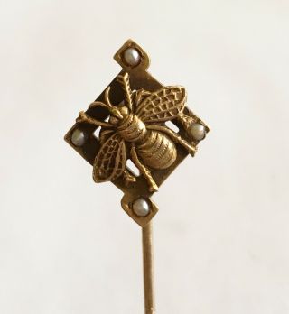 Antique Art Nouveau 10k Stick Pin With Bug And Pearls