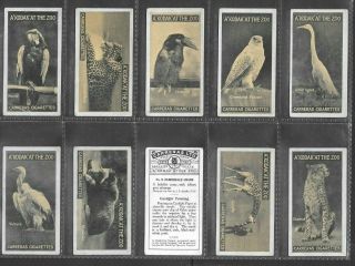 Carreras 1924 (zoo Animals) Full 50 Card Set  A Kodak At The Zoo 1st