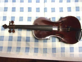 Antique Violin Salvadore De Durro 1901 Imported W/1895 M&w York Case