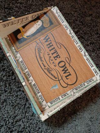 VINTAGE WHITE OWL Invincible.  10 Cent CIGAR BOX VERY LOOK 2