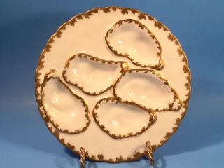 Antique White And Gold Porcelain Oyster Plate C.  1800 