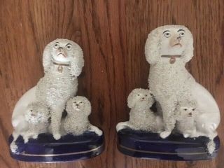 Pair C1850 Staffordshire Poodles With Puppies