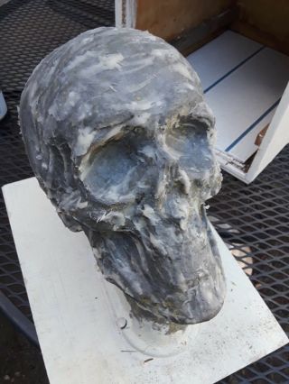Vintage Mortician School Training Skull Funeral Antique