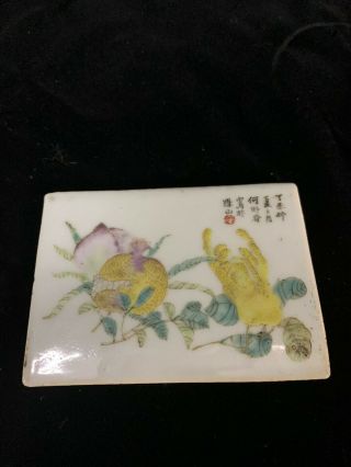 Small Antique Chinese Famille Rose Flower & Fruit Porcelain Tile 19c?