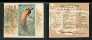 1889 N38 Allen & Ginter Birds Of The Tropics  Great Bird Of Paradise " 1810