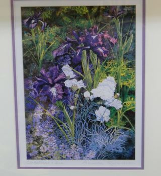 Vintage Botanical Carnations & Iris Print By Amanda Richardson:matted & Framed