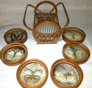 Vintage Butterfly Set Of 6 Bamboo Drink Coaster With Wooden Caddy Holder Vgc