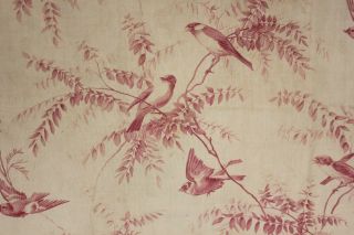 Antique French Curtain Fabric Pink Birds & Floral Design C1870 Faded 32x113