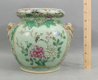 19thc Antique Chinese Export Famille Rose,  Celadon Porcelain Planter Jar,  Nr