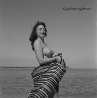 Bunny Yeager 1950s Pin - Up Camera Negative Burlesque Queen Busty Evelyn West