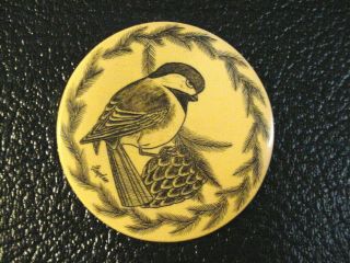 Vintage Bakelite Button Hand Carved Signed Layden 2 1/4 Chickadee Bird W/acorn