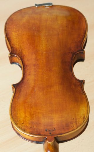 Very Old Labelled Vintage Small Violin " Jacobus Stainer " Fiddle 小提琴 Geige 1194