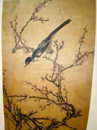 Chinese Scroll Painting On Silk.  Magpie,  Blossoming Plum,  Bamboo And Flower.