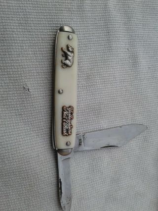 Vintage Pocket Knife Souvenir 2 Blade Yellowstone Park U.  S.  A With Case