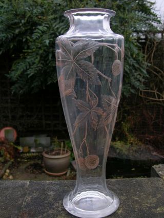 Antique French Baccarat Art Nouveau Engraved Glass Vase Horse Chestnut Conker Tr