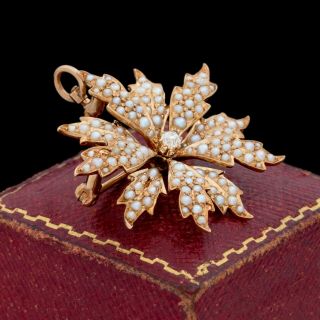 Antique Vintage Nouveau 18k Yellow Gold Seed Pearl Diamond Pinwheel Pin Pendant