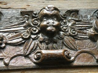 Exceptional Antique 17th C.  Deep Relief Carved Oak Panel Radiating Winged Putto