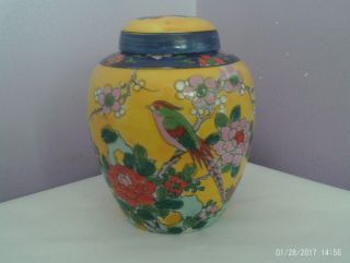 Vintage Japanese Porcelain Bird In Flowering Trees Ginger Jar/pot 12.  5 Cms Tall