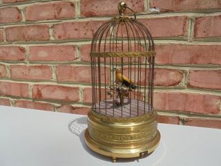 Antique Made In Germany Musical Singing Bird In Cage Automaton Music Box Wind Up