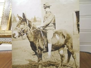 Vtg RPPC Pre WWI WW1 Photo Postcard Soldier Mule Pose US 4th Field Artillery 3