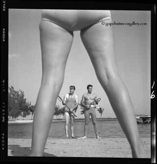 Bunny Yeager 1960s Campy Pin - up Negative Sexy Leggy Model With Lucky Skin Divers 2