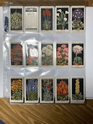 Flower Culture In Pots Series Of 50 Cigarette Trading Cards By W.  D.  & H.  O.  Wills