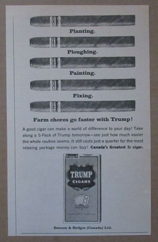1963 Canadian Paper Ad Trump 5¢ Cigars Farm Chores Go Faster