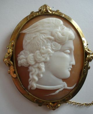 Large 2 3/8 " Early Antique Sardonyx Shell Medusa Cameo Gold Filled Brooch,  15.  8g