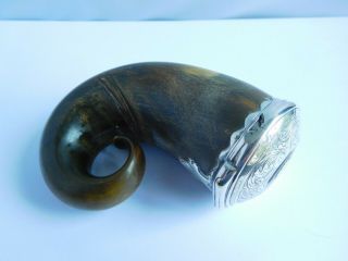 Interesting Early 19th Century Silver Mounted Scottish Rams Horn Snuff Mull