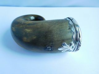 INTERESTING EARLY 19TH CENTURY SILVER MOUNTED SCOTTISH RAMS HORN SNUFF MULL 2
