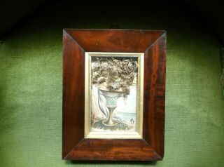 V.  Rare Antique 19th C Miniature Framed Seaweed In An Urn Diorama,  Isle Of Wight