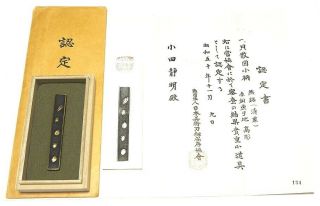 ◆kozuka◆ - Shells - (s) Den Seijyo Nbthk Kicho Paper Fantastic 98mm Box　