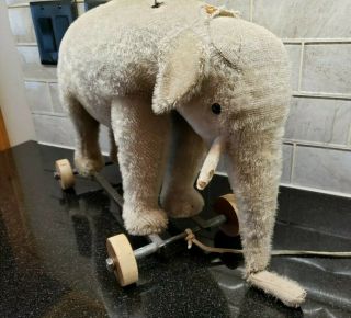 Antique Vintage Steiff Mohair Elephant Pull Toy Metal Wooden Wheels Glass Eyes