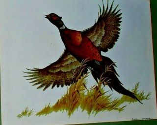 Vintage Clark Bronson Flying Ring Neck Pheasant Print 1968 Outdoorsman 